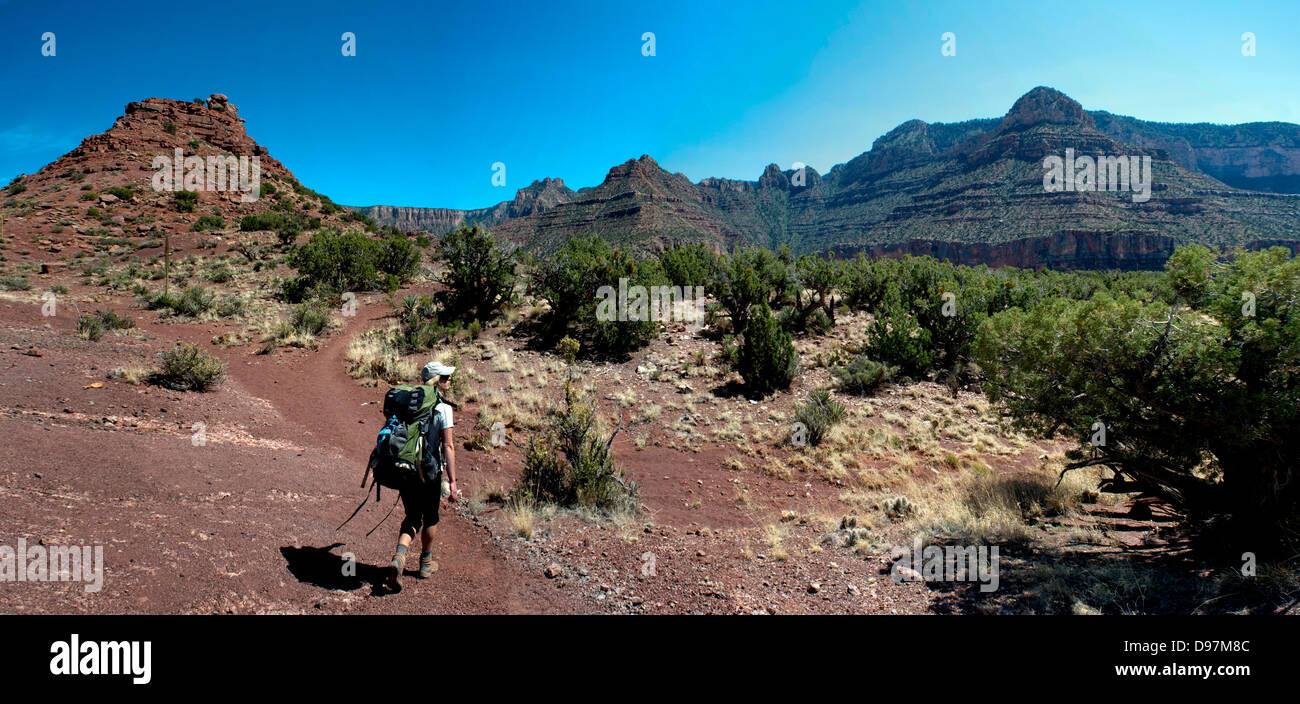 Teile des Grand Canyon National Park, im Horseshoe Mesa, nördlich von Flagstaff, Arizona, USA. Stockfoto