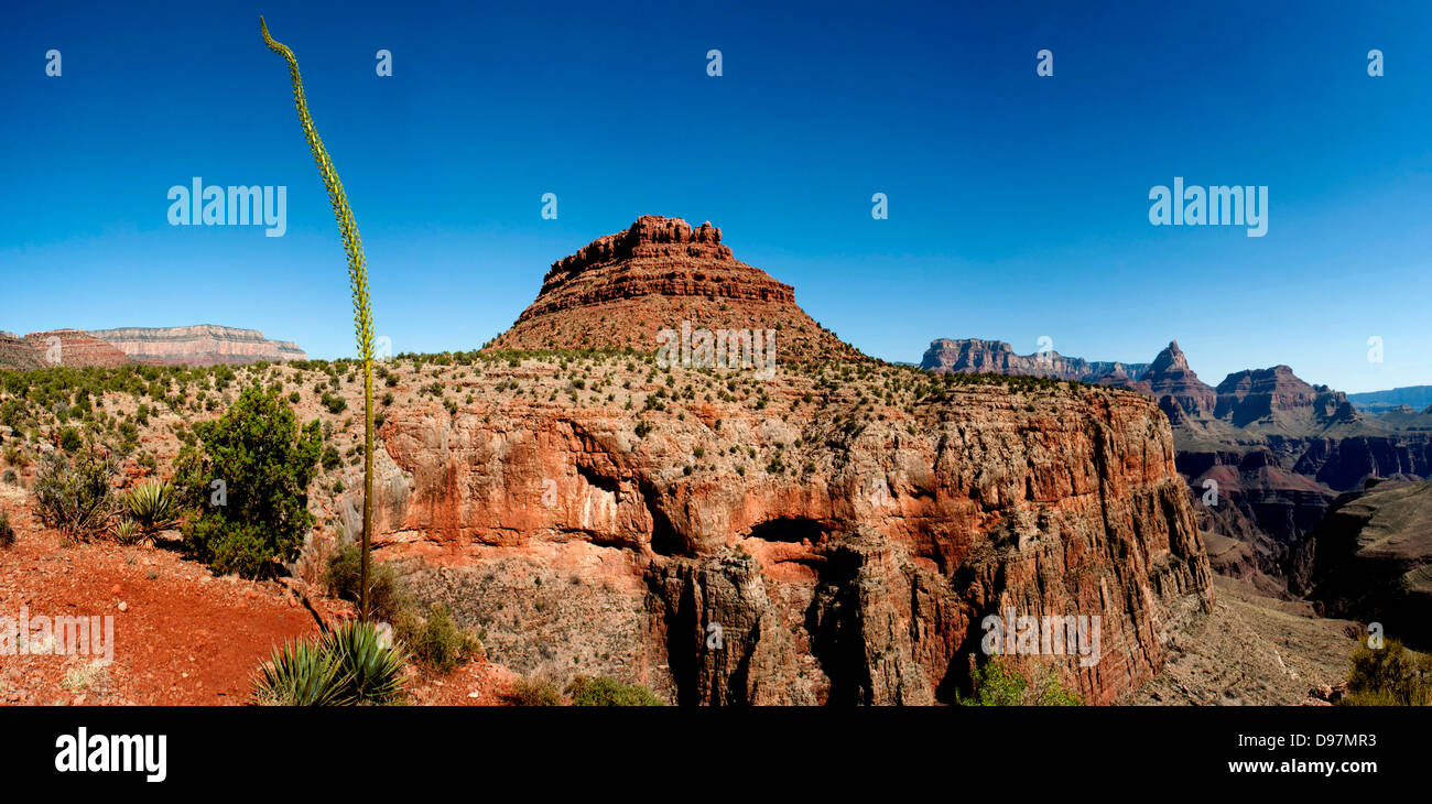 Teile des Grand Canyon National Park, im Horseshoe Mesa, nördlich von Flagstaff, Arizona, USA. Stockfoto