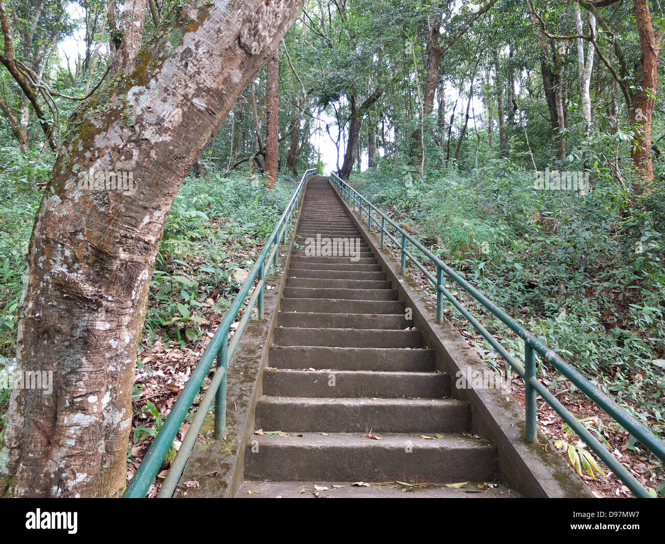 Treppe in tropischen Berge im Norden von Thailand Stockfoto