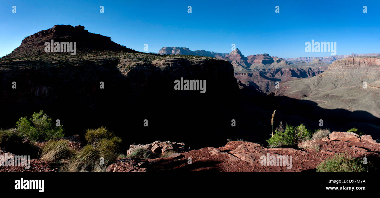 Teile des Grand Canyon National Park, im Horseshoe Mesa, nördlich von Flagstaff, Arizona, USA. Stockfoto