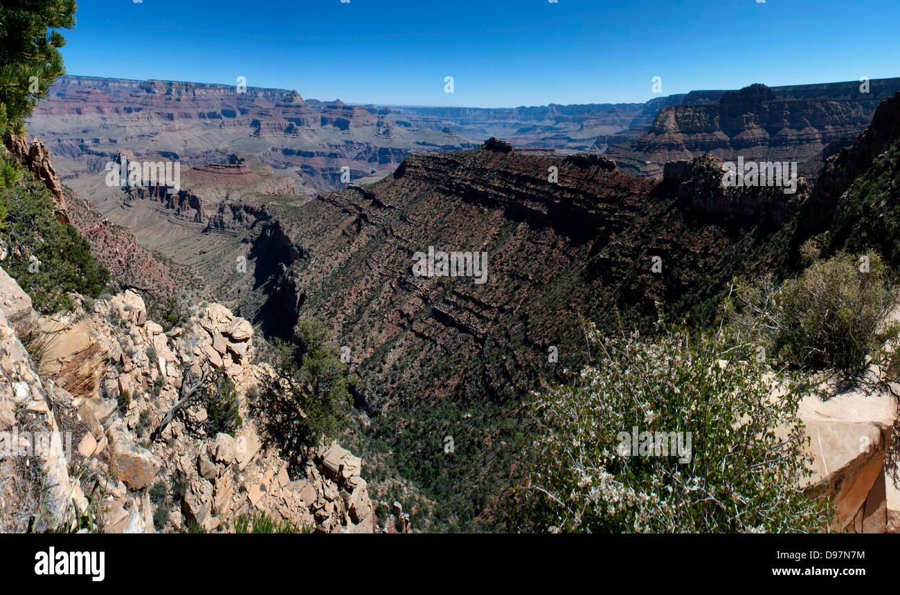 Teile des Grand Canyon National Park, im Horseshoe Mesa, nördlich von Flagstaff, Arizona, USA. Stockfoto