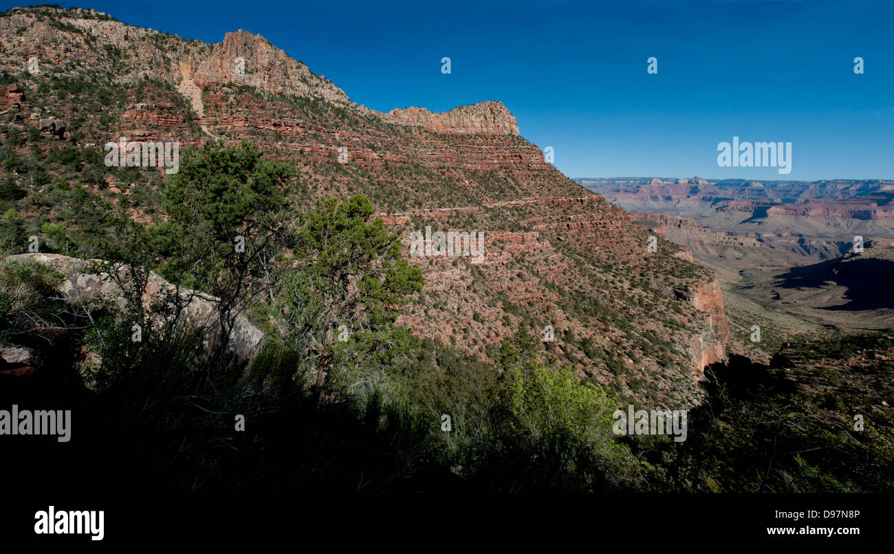 Teile des Grand Canyon National Park, im Horseshoe Mesa, nördlich von Flagstaff, Arizona, USA. Stockfoto