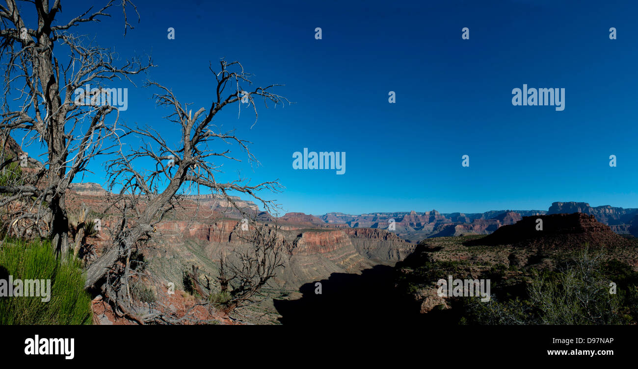 Teile des Grand Canyon National Park, im Horseshoe Mesa, nördlich von Flagstaff, Arizona, USA. Stockfoto