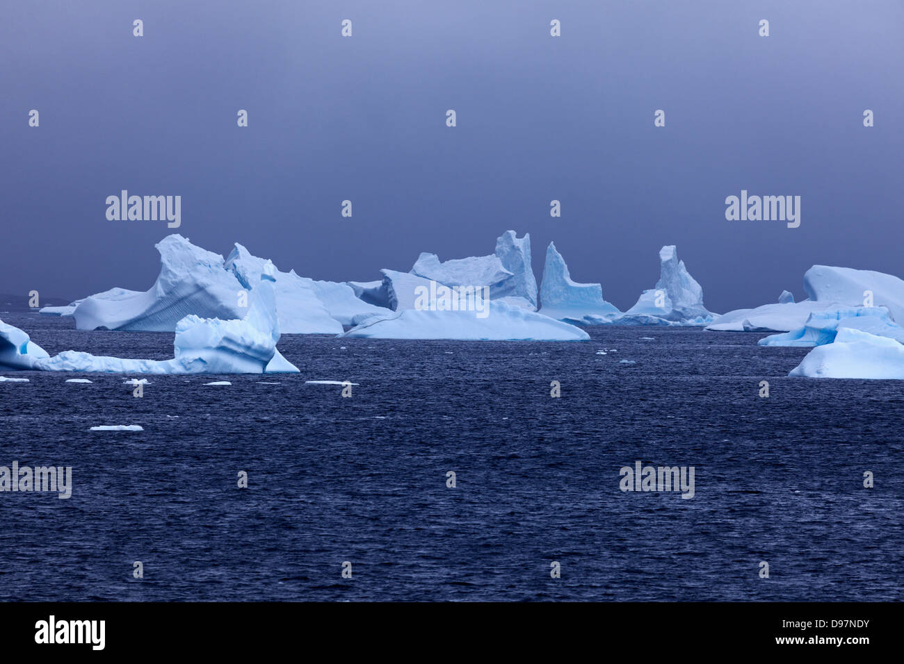 Eis auf antarktischen Gewässern - gesehen während des Sonnenuntergangs floatin Stockfoto