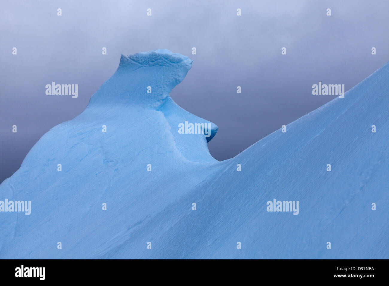 Eisberg in den antarktischen Gewässern - antarktische Halbinsel Bereich schweben Stockfoto