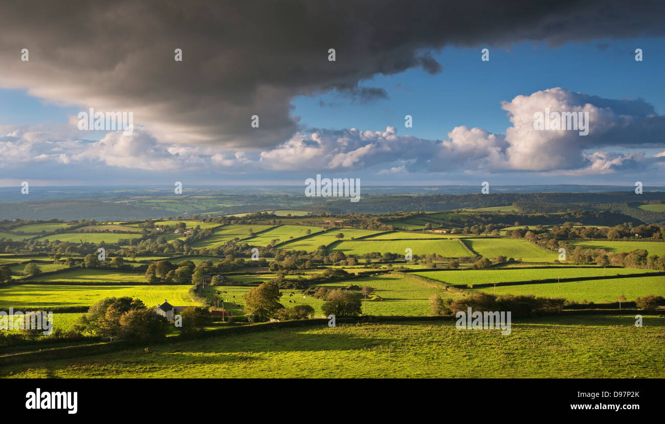 Eine hügelige Landschaft in der Nähe von Brentor, Dartmoor, Devon, England. Herbst (September) 2012. Stockfoto