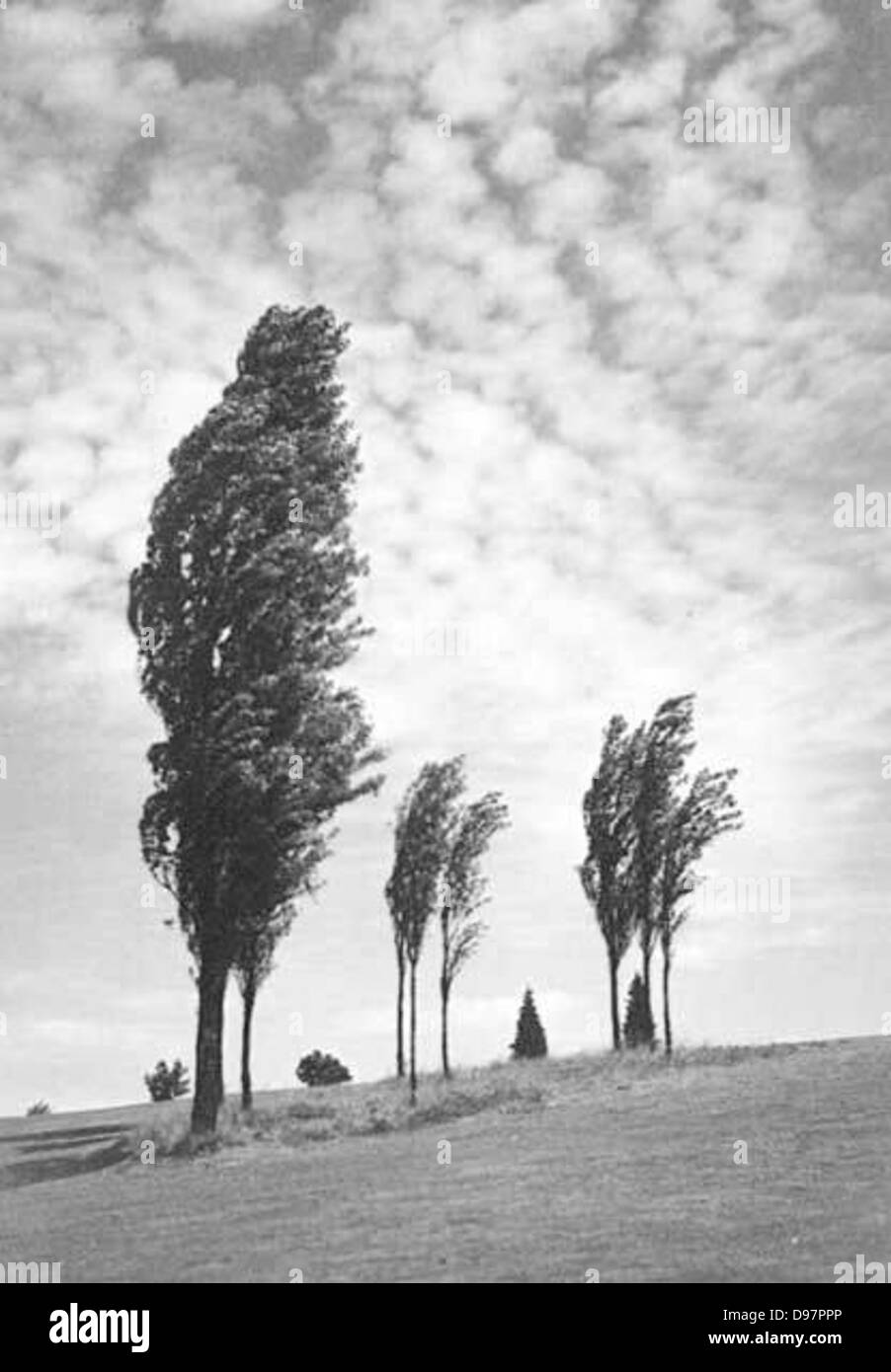 Auf Gedeih und Verderb Sommerbrise Stockfoto