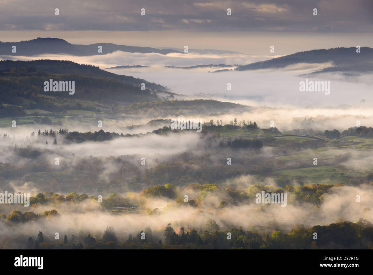 Nebel bedeckt Seenplatte Landschaft im Morgengrauen, Cumbria, England. Herbst (Oktober) 2012. Stockfoto Nebel bedeckt Seenplatte Landschaft im Morgengrauen, Cumbria, England. Herbst (Oktober) 2012. Stockfoto