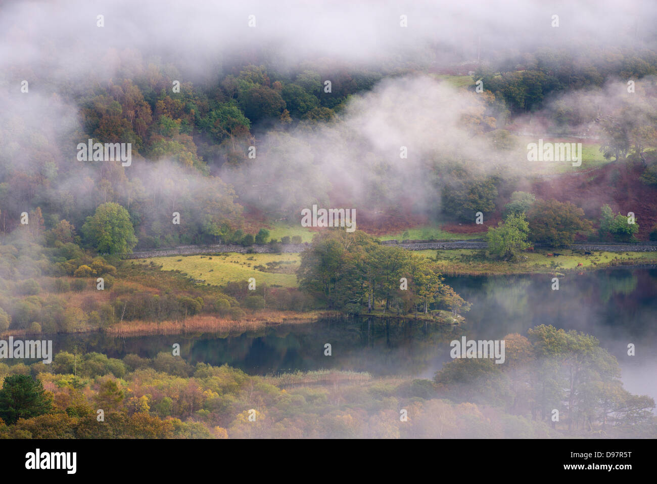 Nebel über Rydal Wasser im Lake District, Cumbria, England. Herbst (Oktober) 2012. Stockfoto