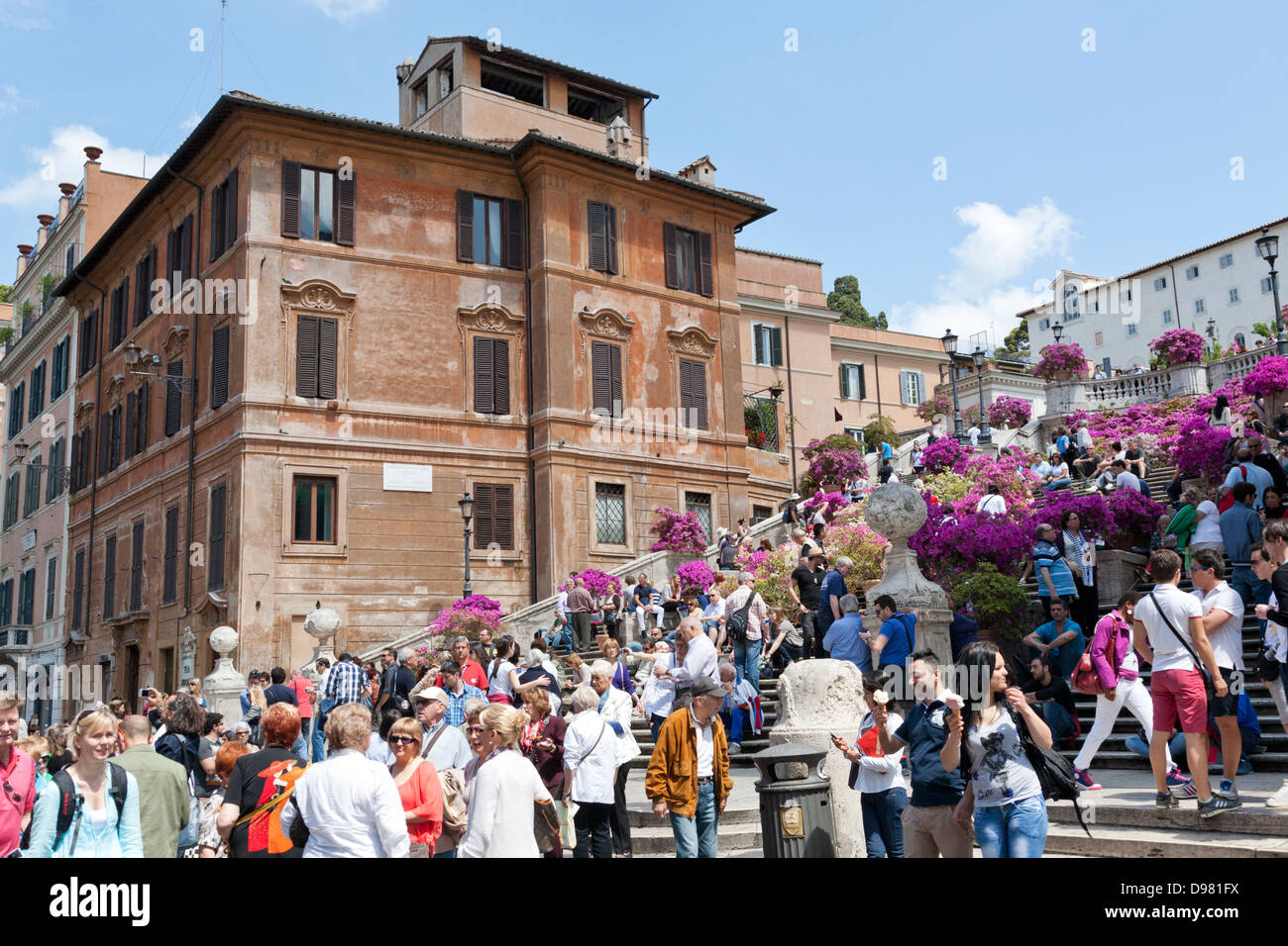 Töpfe von Azaleen blühen, Scalinata della Trinità dei Monti, Spanische Treppe, Piazza di Spagna, Rom, Italien Stockfoto