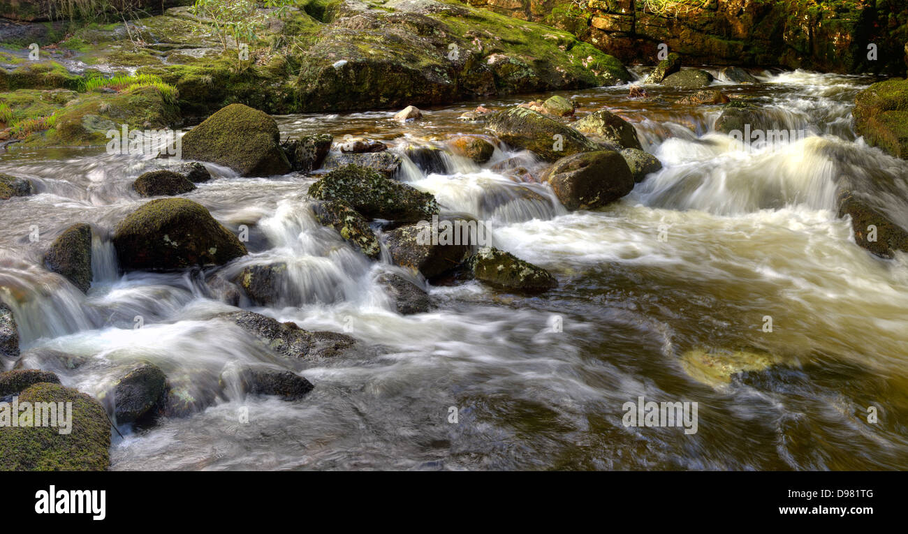 Der Frühlingsregen des Flusses Aune (oder Avon) hier Abstieg durch die Schlucht über Shipley Brücke im Dartmoor National Park Stockfoto