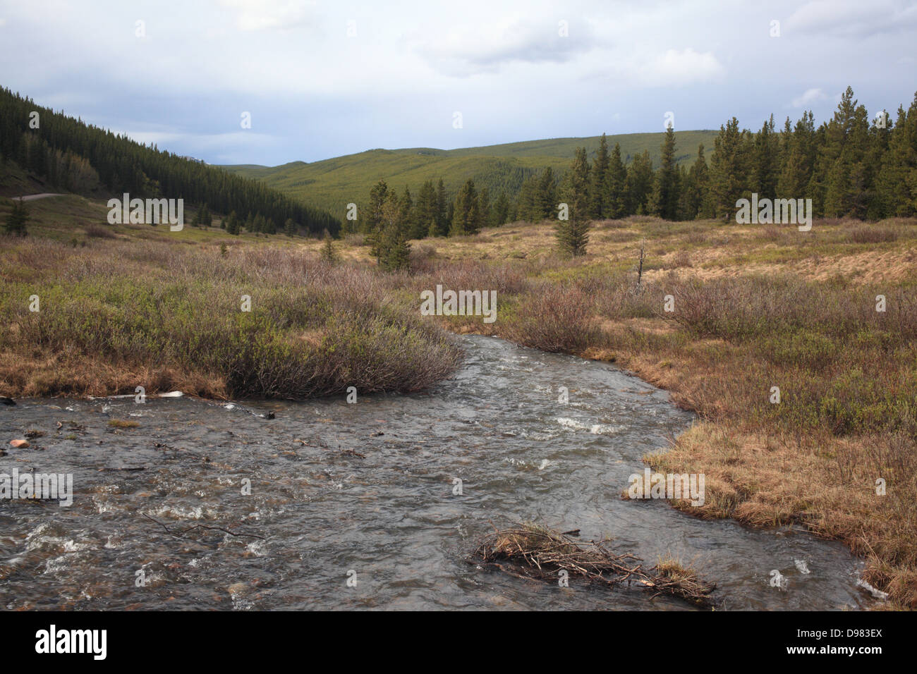 Prairie Creek Trail in Kananaskis Country Alberta Stockfoto