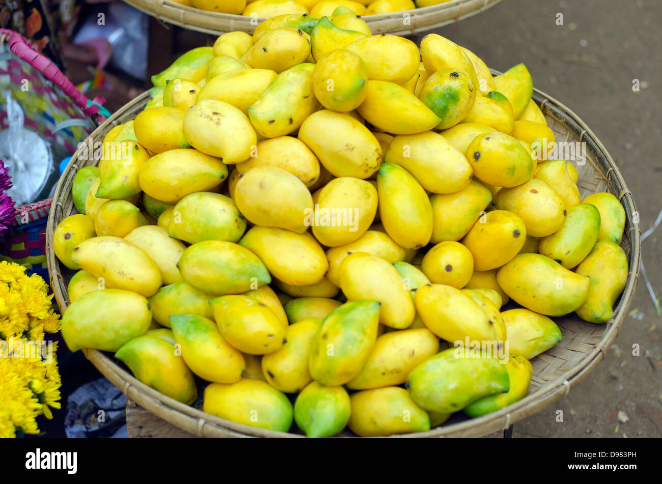 Mangos, Nyaung-U (Bagan), Markt, Burma Stockfoto