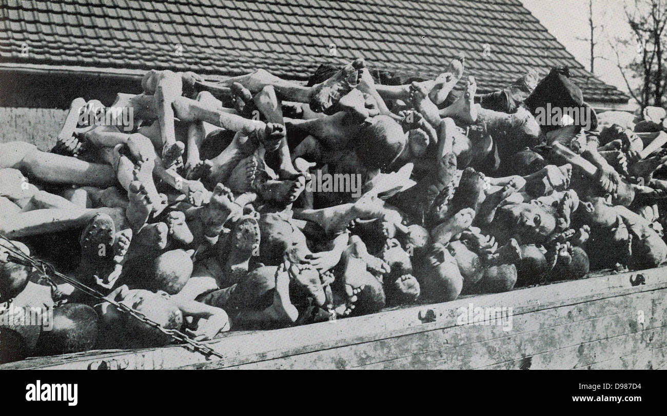 Buchenwald, Konzentrationslager, 1937 gegründet und im April 1945 befreit. Gefangene wurden in Betrieben der Umgebung Munition Zwangsarbeit verwendet. Eine Wagenladung von den Leichen der Häftlinge. Stockfoto