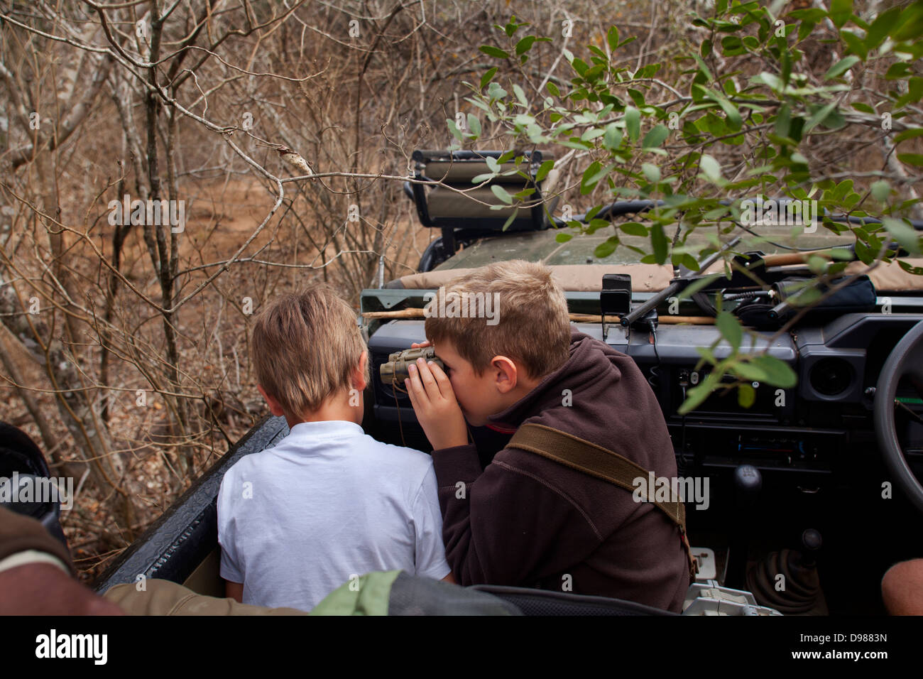 Jungen beobachten mit dem Fernglas aus der Landcruiser im Phinda Game Reserve-Spiel Stockfoto