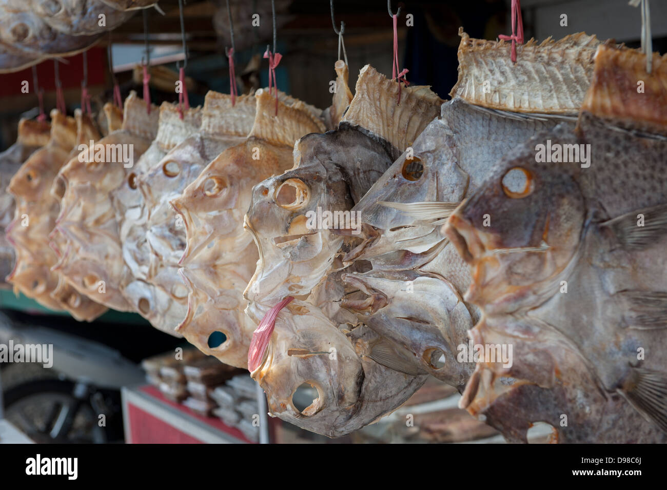 Getrockneter Fisch, Sulawesi, Indonesien Stockfoto