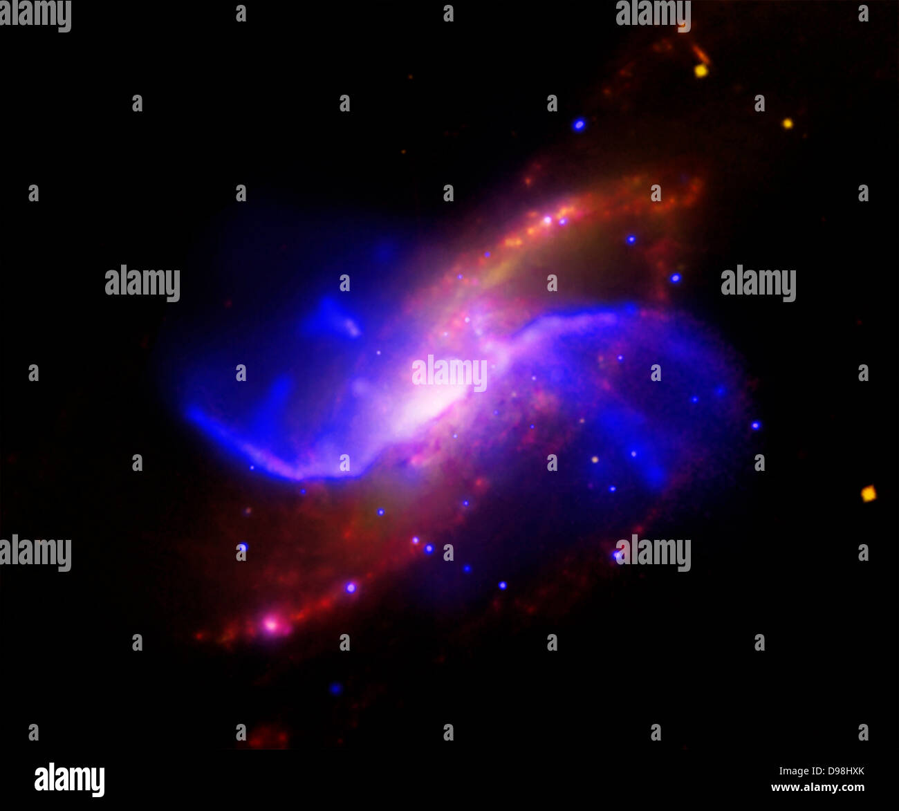 In dieser zusammengesetzten Bild der Spiralgalaxie M106 (NGC 4258), optische Daten aus den digitalisierten Sky Survey als Gelb, Radio Daten aus der sehr große Reihe angezeigt wird erscheint als Lila, X-ray Daten von Chandra ist blau, und Infrarot Daten aus dem Weltraumteleskop Spitzer rot angezeigt. Zwei ungewöhnliche Waffen, die nicht im optischen Wellenlängenbereich sichtbar sind, erscheinen als Lila und Blau Emission. Stockfoto