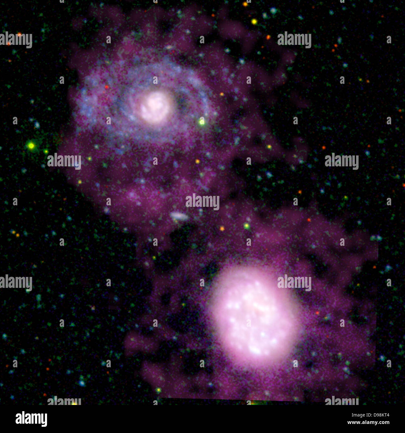zwei Begleiter Galaxien NGC 4625 (oben) und NGC 4618 (unten) und ihre umliegenden Kokons cool Wasserstoffgas (lila). Die Stockfoto