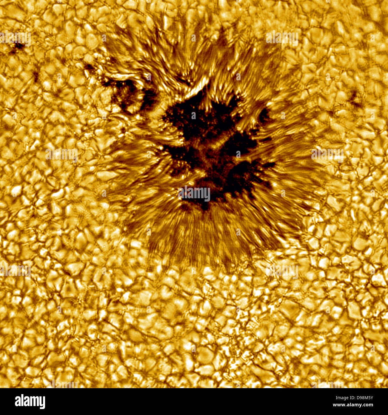 Sonnenfleck aus der Nähe. Komplexe Magnetfeld der Sonne erzeugt diese Cool Region durch Hemmung heißes Material in den Ort. Sonnenflecken kann größer als die Erde und in der Regel nur für ein paar Tage. Dieser hochauflösende Bild zeigt auch deutlich, dass das Gesicht der Sonne ist eine brodelnde Meer von separaten Zellen der heißes Gas. Diese Zellen sind als Granulat bekannt. Eine solare Granulat ist über 1000 Kilometer und dauert etwa 10 Minuten. Nach diesem, viele Granulat am Ende explodiert. Stockfoto