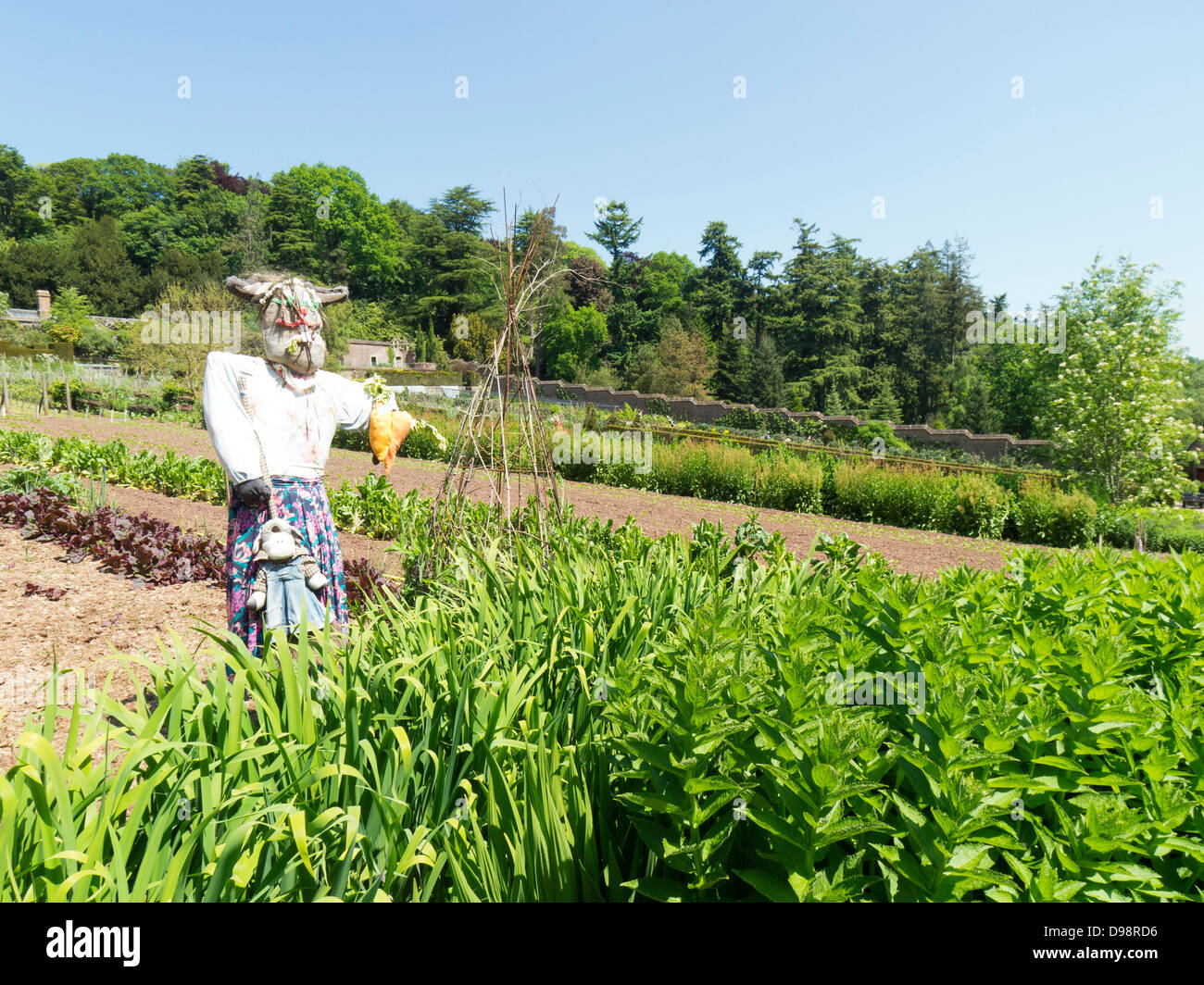 Knightshayes Gericht Küchengarten Stockfoto