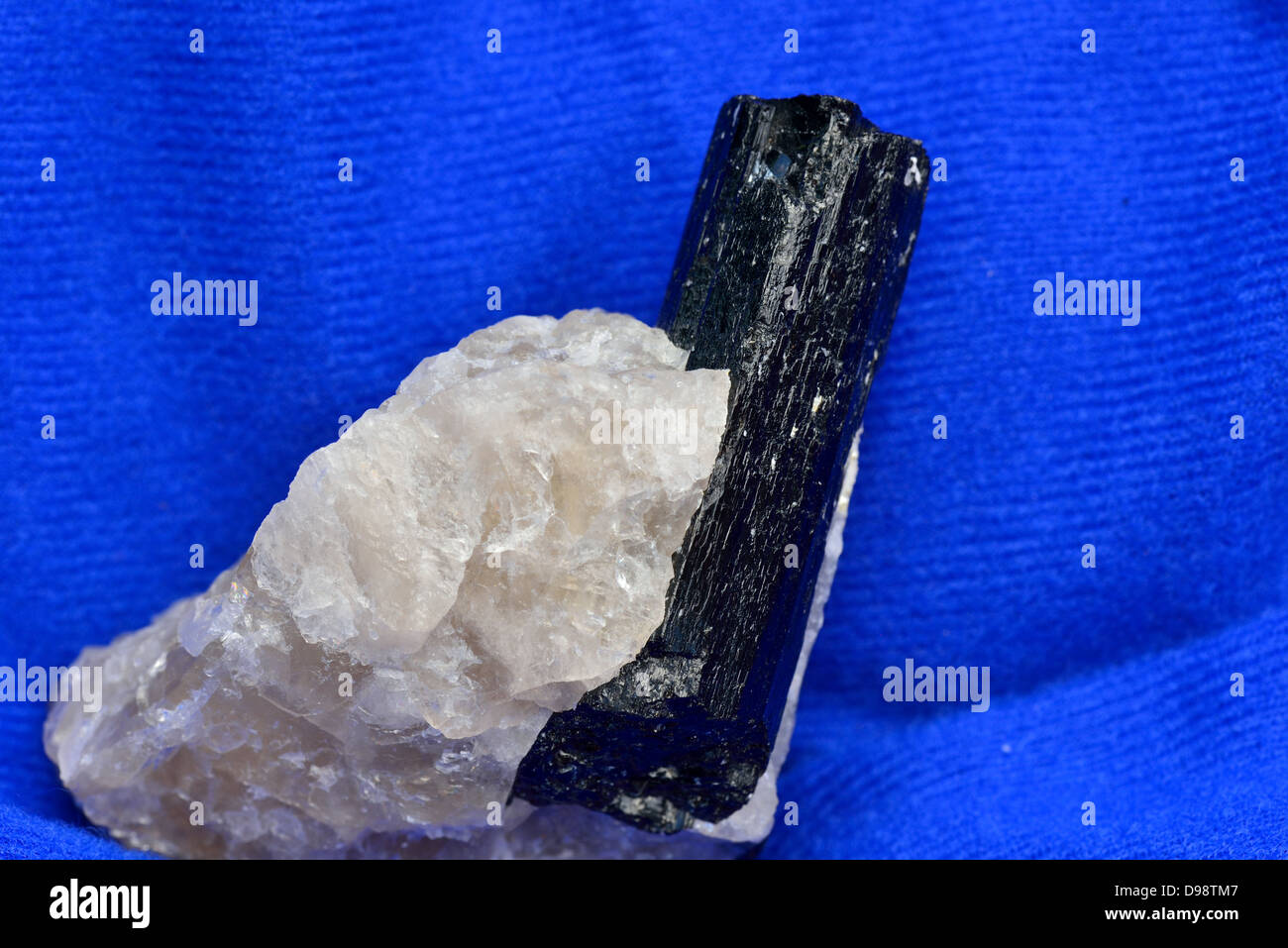 Schwarzer Turmalin Kristall in weißem Quarz. Stockfoto