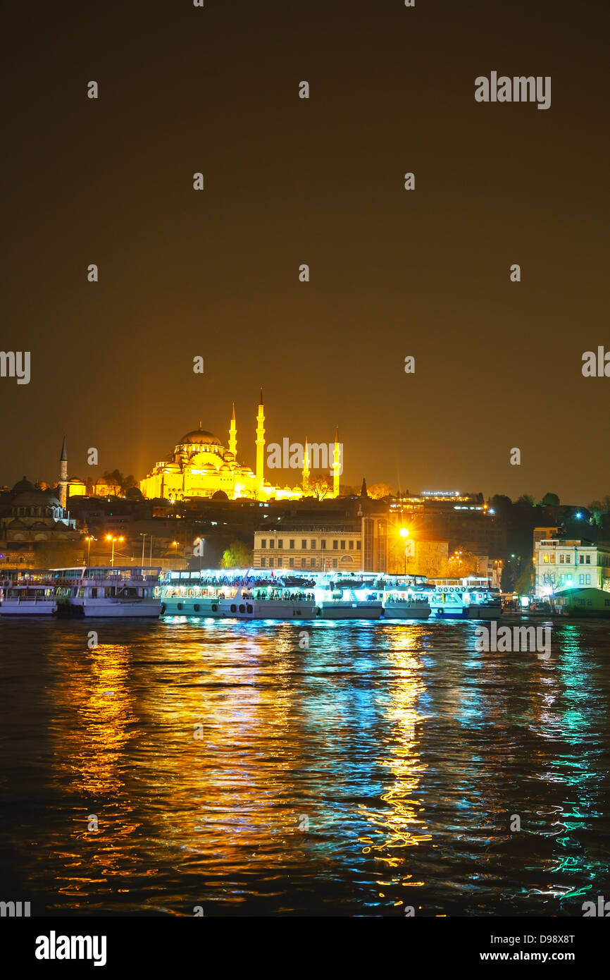 Istanbul-Stadtbild mit Süleymaniye-Moschee in der Nacht Stockfoto