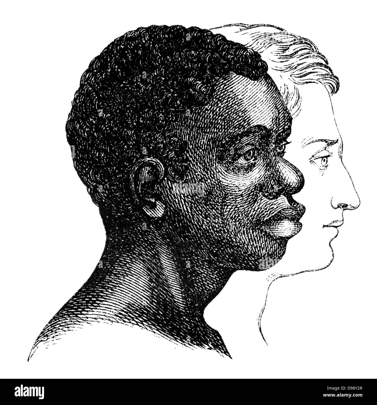 Rassismus, Arten der kaukasischen und dunkelhäutige Gesichter, Menschen-Bild aus dem 19. Jahrhundert, 1864, Deutschland, Europa Stockfoto