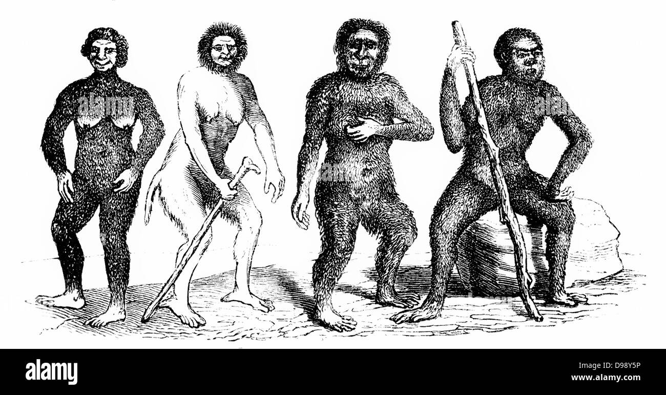 Tier-Figuren, Systema Naturae von Carl von Linné, 1707-1778 Stockfoto