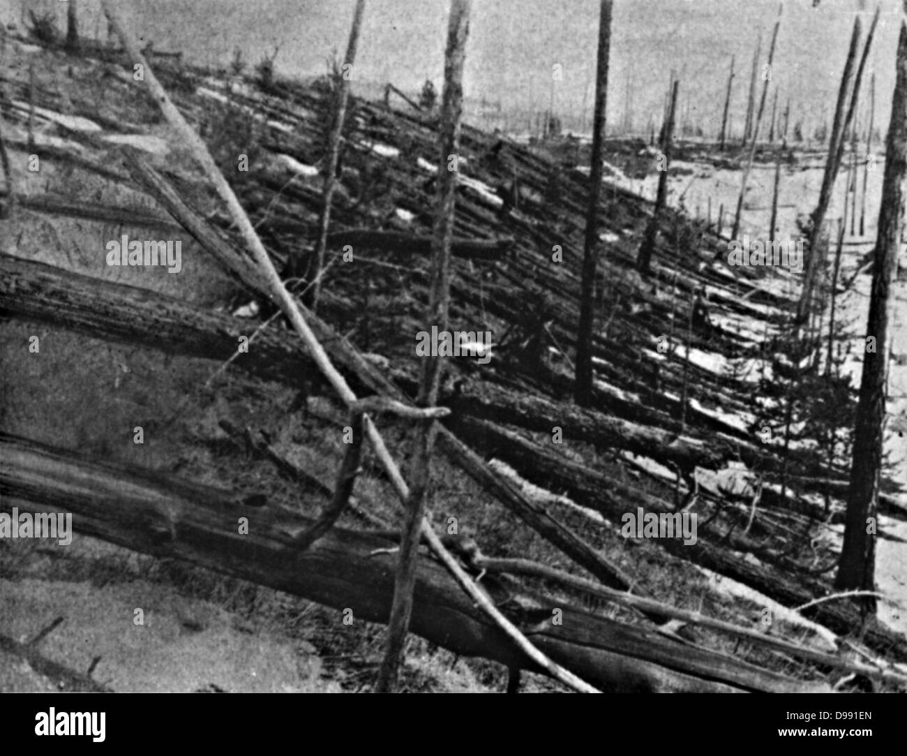 Das Tunguska-ereignis, oder Tunguska Explosion, 30. Juni 1908, in der Nähe des Podkamennaya Tunguska, Fluß, Krasnoyarsk Krasnodar, Russland. Ursache bestritten, aber allgemein akzeptiert als von einem Meteoriten verursacht. Detail der gestrahlten Bäume. Stockfoto