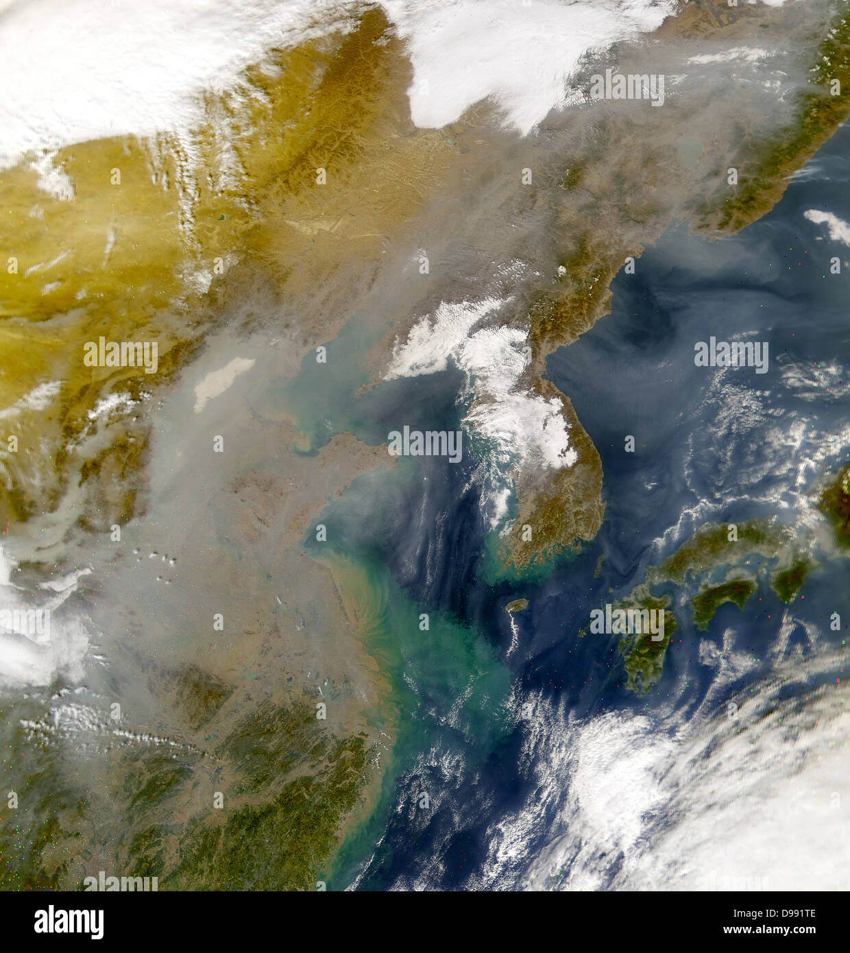 Korea und dem japanischen Meer verdeckt von wirbelt der Umweltverschmutzung in diesem Bild durch die Sea-viewing Wide Field-of-View Sensor (SeaWiFS) am 23. November 2001. Credit NASA. Wissenschaft Erde Geologie Stockfoto