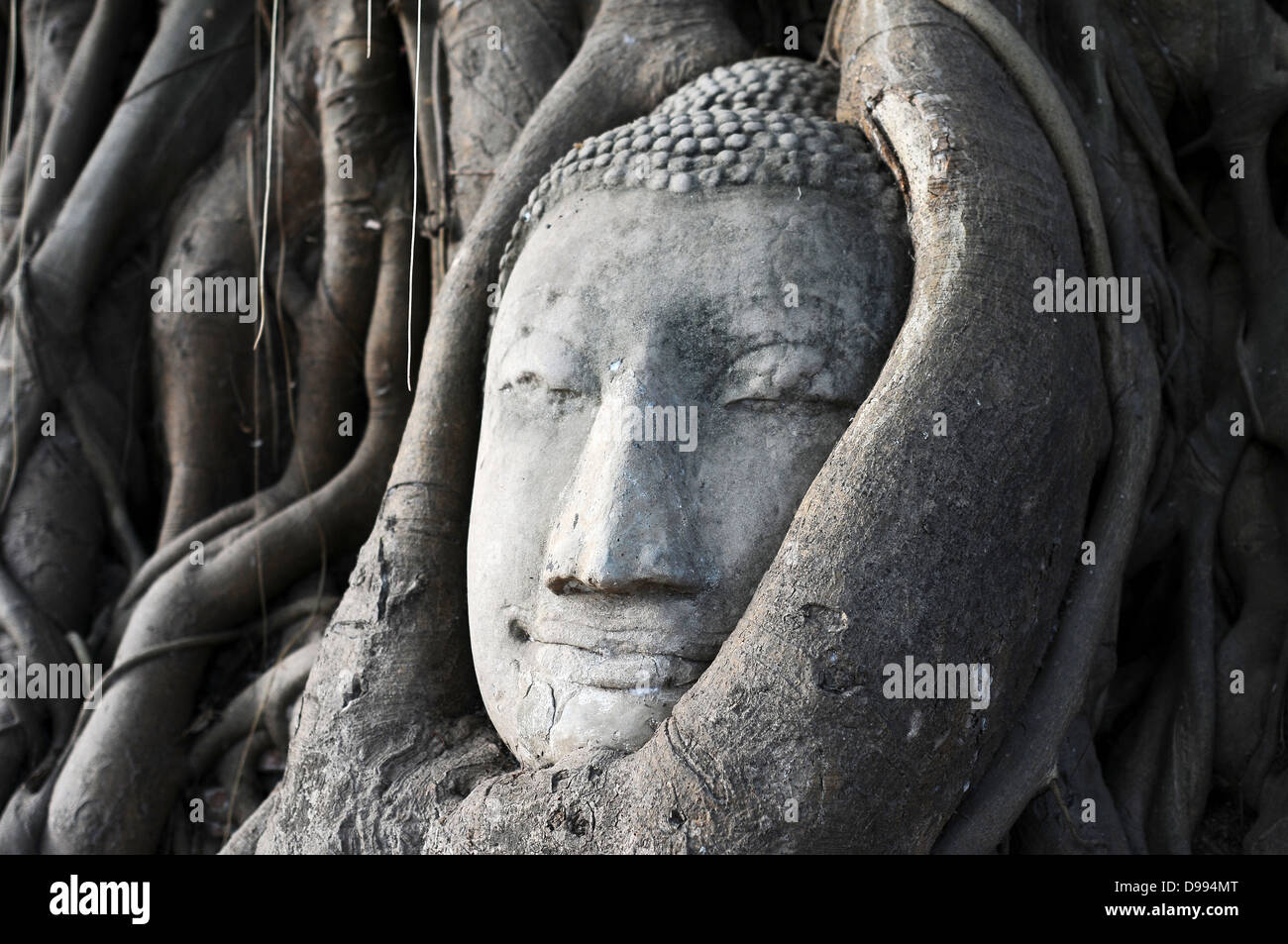 Urlaub Thailand Buddha Bagan bauen Vietnam Luang Indien Baum Weisheit Shiva Ziegel Mönch neblig Mahathat beten tropischen Angkor Stockfoto