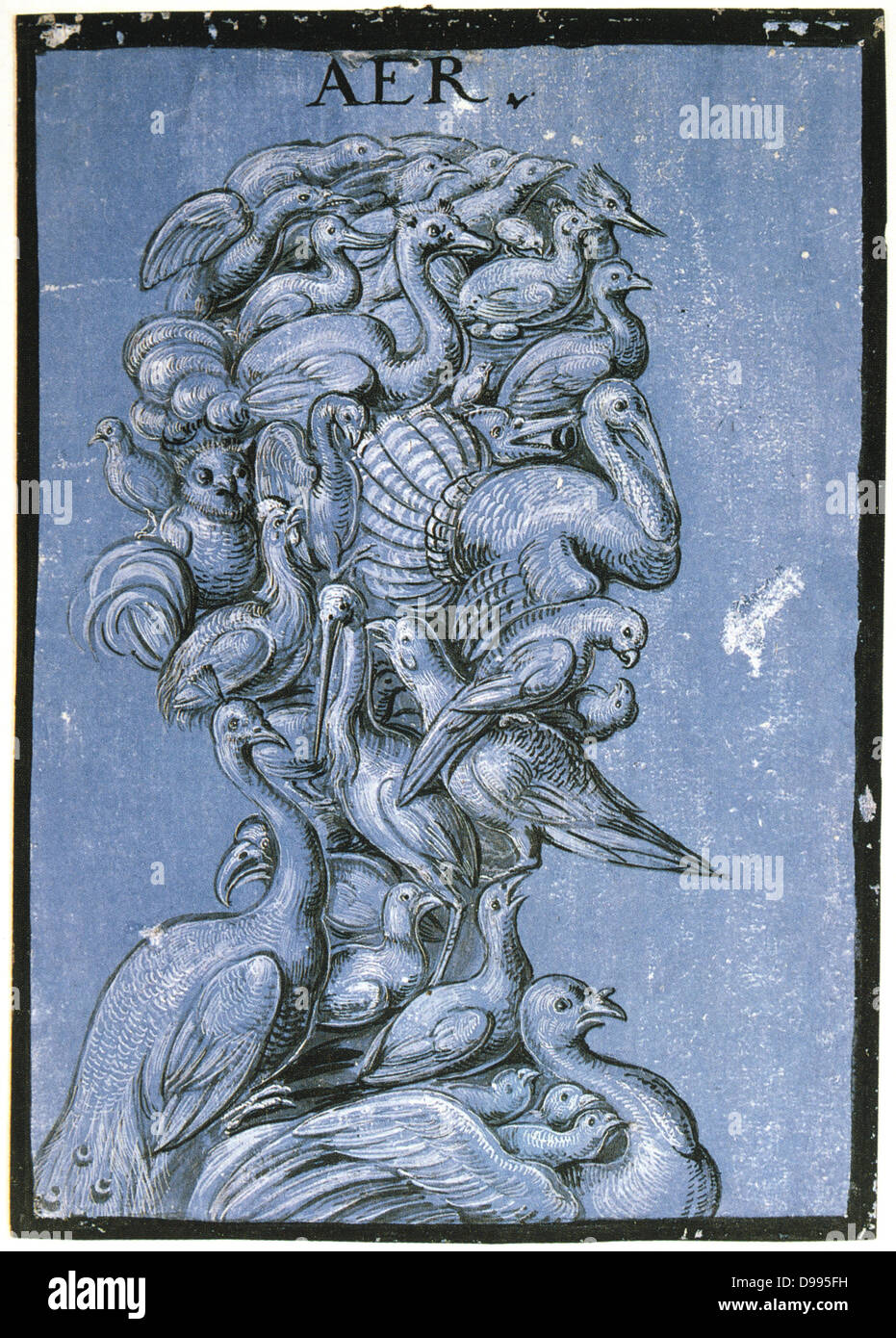 Luft ', c1600. Tempera auf blauem Papier. Anonym. Grotesken Kopf und Schultern setzt sich aus verschiedenen Vogelarten. Stockfoto