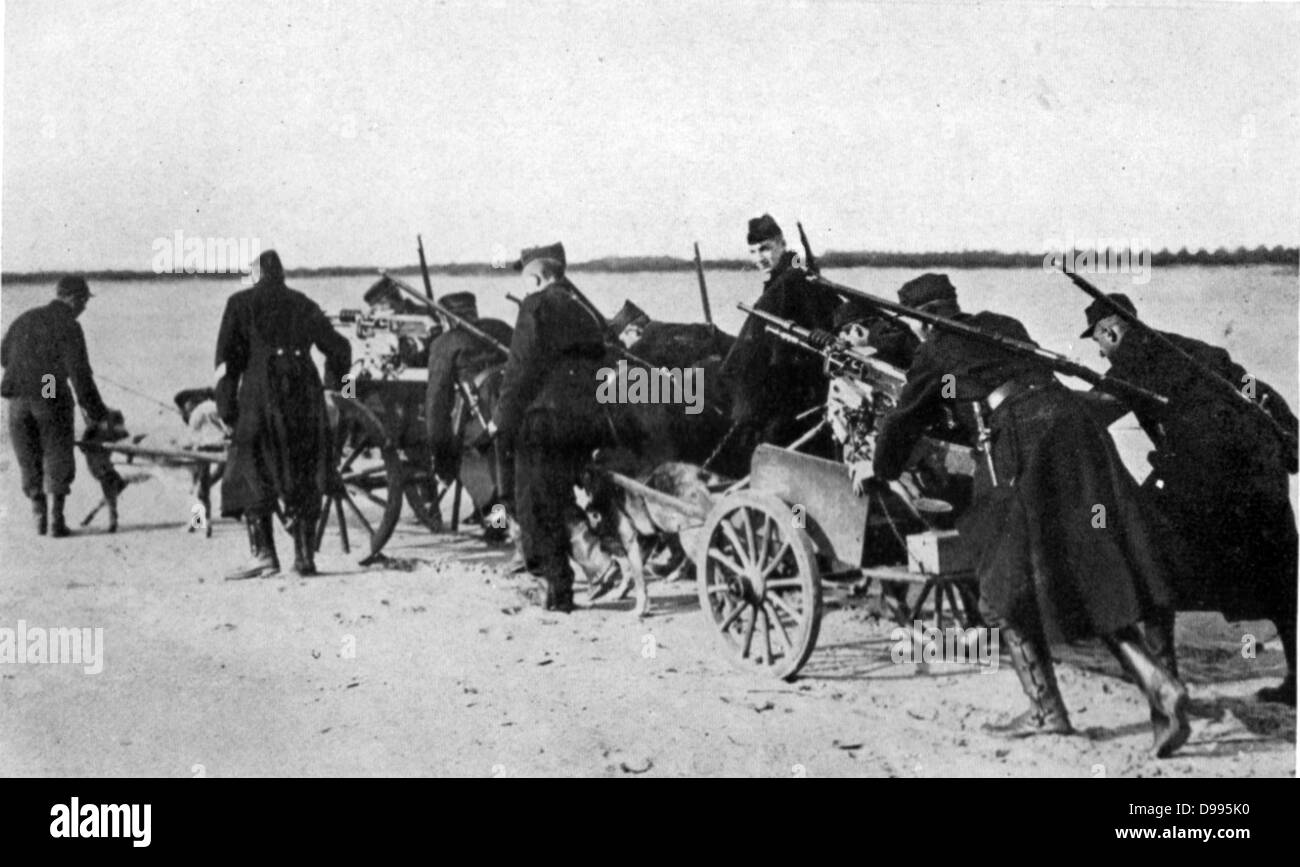 Belgische Maschine "Gunners" transportieren ihre Waffen auf Wagen gezogen von Hunden, c1914. Stockfoto