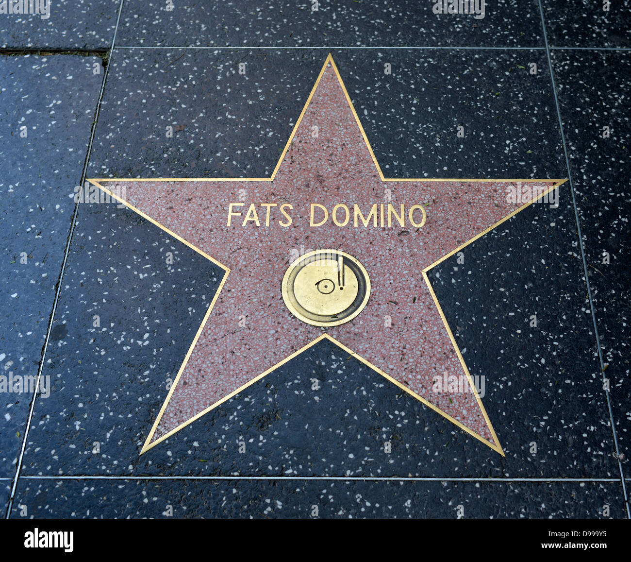 Terrazzo-Stern für Künstler Fat Domino, Kategorie Musik, Trommeln of Fame, Hollywood Boulevard, Hollywood, Los Angeles, Neff Stockfoto