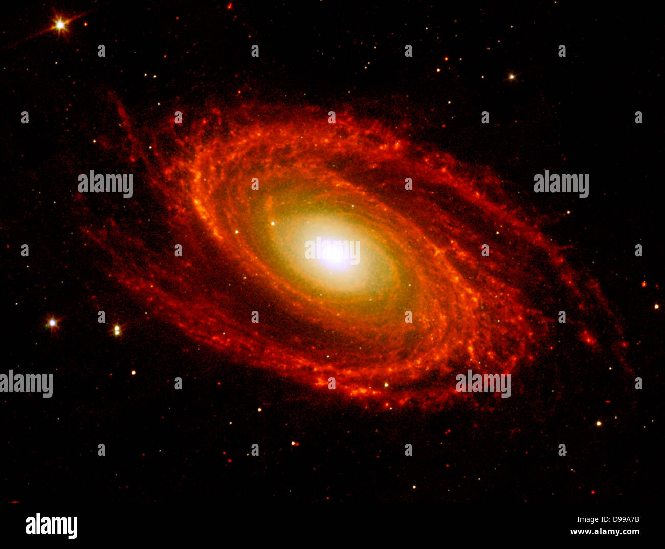 Die Spiralarme der nahen Galaxie Messier 81, bei einer Entfernung von 12 Millionen Lichtjahre von der Erde entfernt. Spitzer Space Telescope. Stockfoto