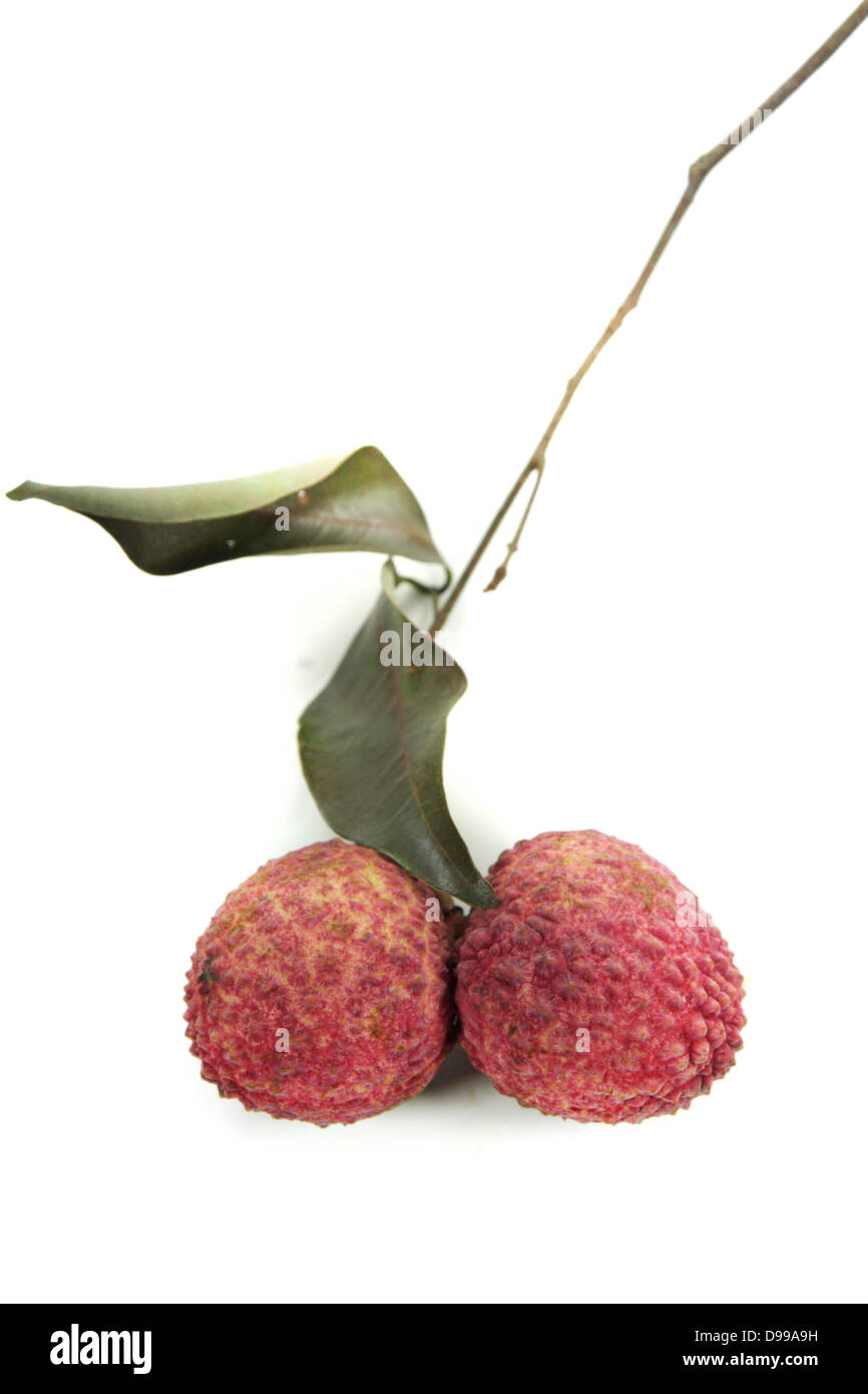 Litschi, südostasiatische Frucht Stockfoto