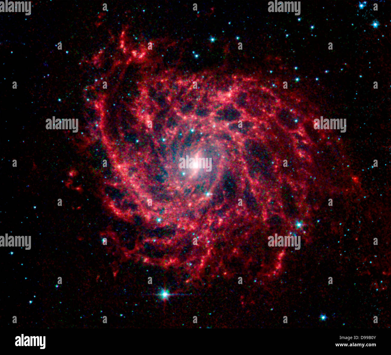 Die Galaxie IC 342 präsentiert seine zarte Muster von Staub in diesem Bild vom Spitzer-Weltraumteleskop der NASA. Stockfoto