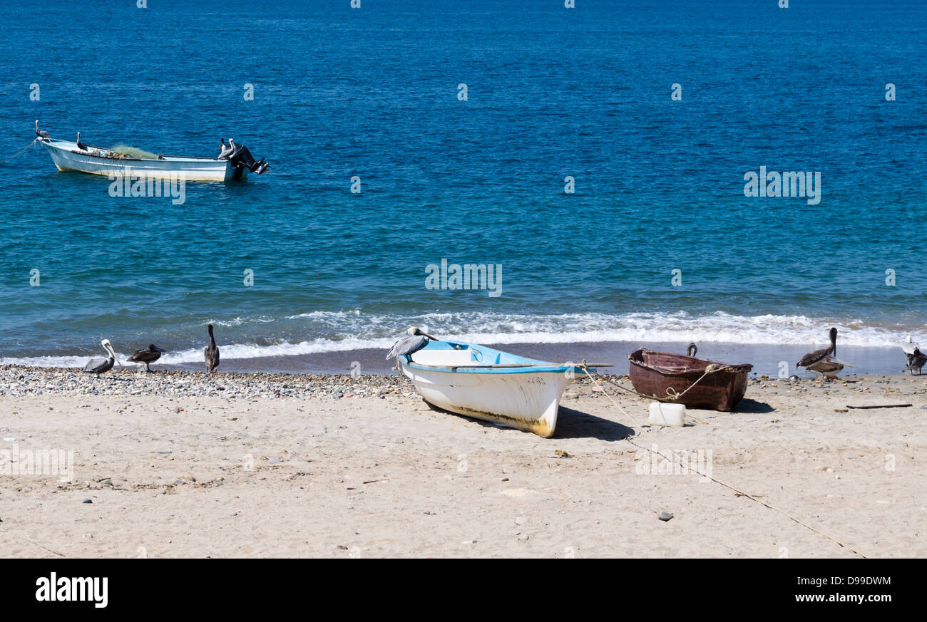 Eine Gruppe von Angelboote/Fischerboote am Strand von Pelikanen begleitet Stockfoto