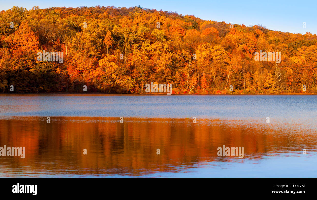 Farben des Herbstes Laub spiegelt sich auf Sheppard Teich, New Jersey Stockfoto