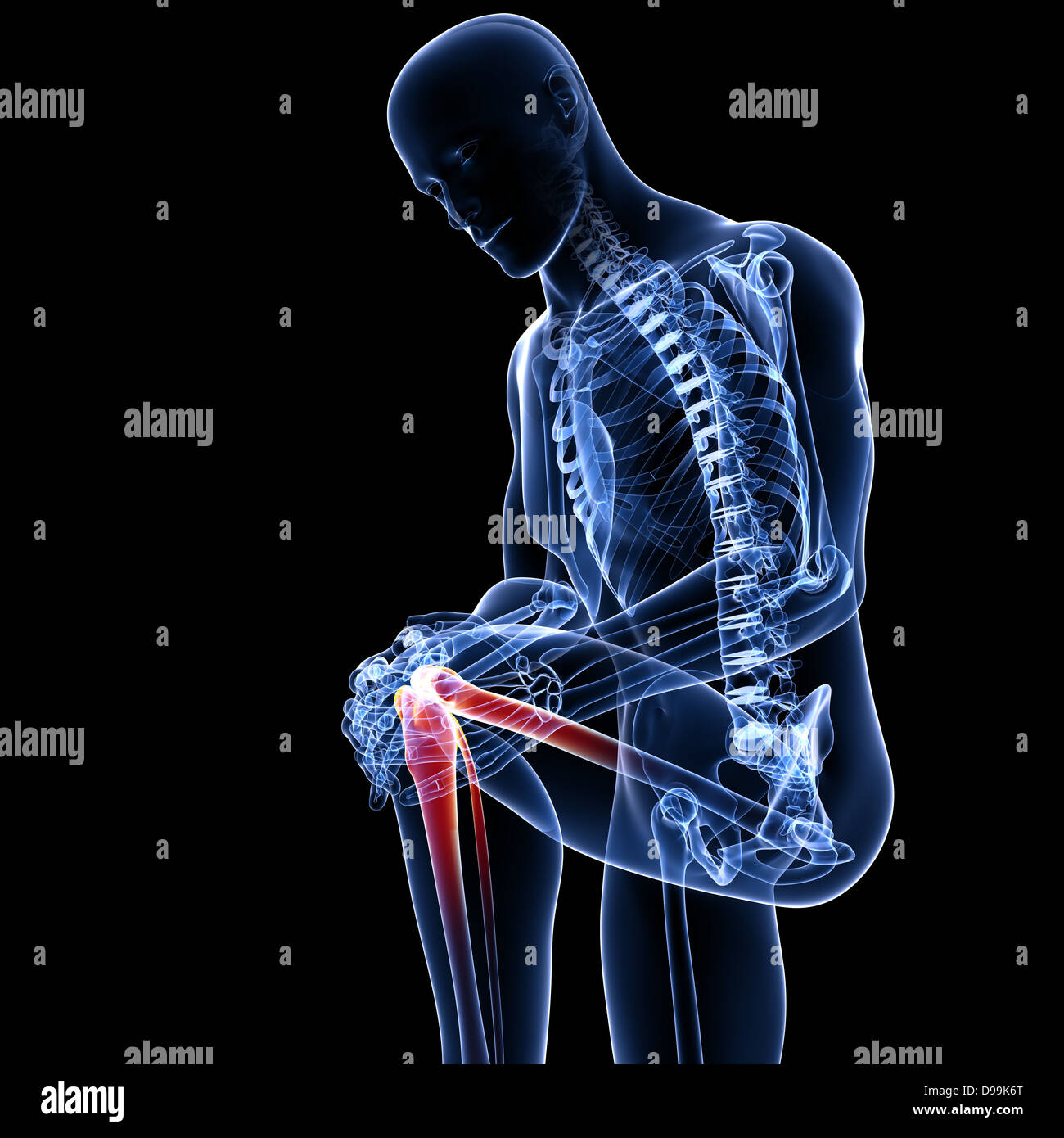 Anatomie des männlichen Knieschmerzen Stockfoto