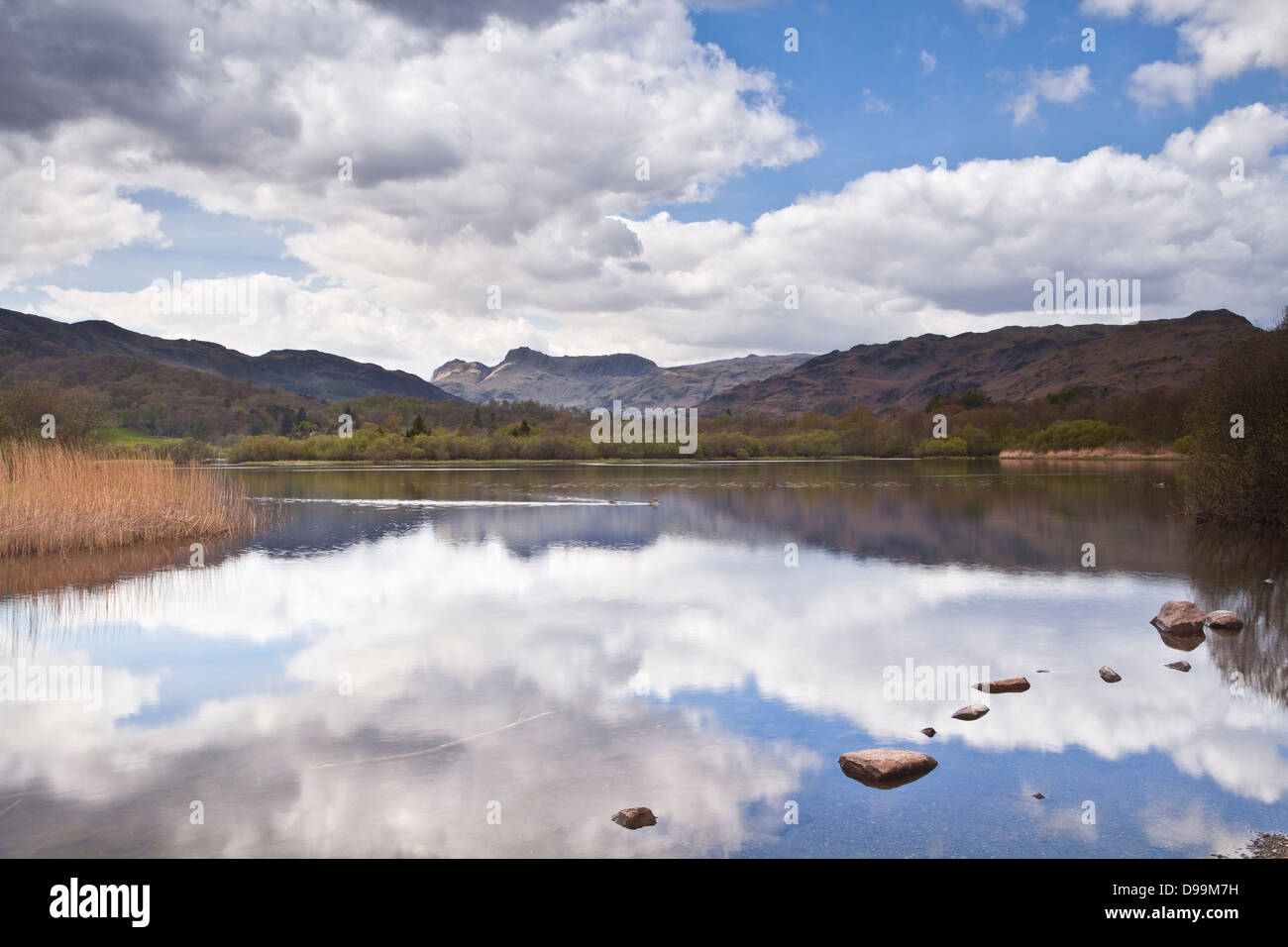 Elterwater und Langdale Pikes. Stockfoto