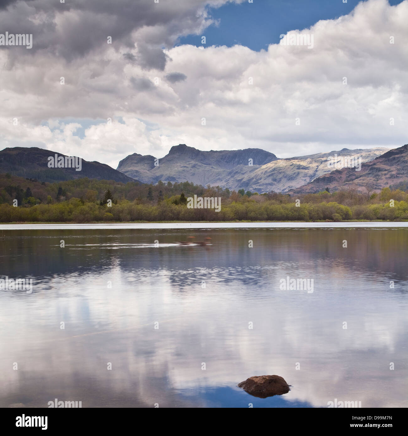 Elterwater und Langdale Pikes. Stockfoto