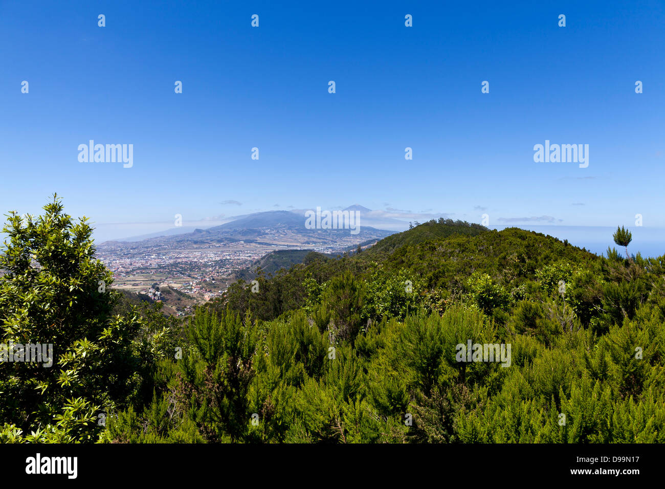 Blick über La Laguna und Los Rodeos Flughafen in Richtung Berg Teide von La Jardina Sicht im Anaga, Teneriffa, Kanarische Inseln, Stockfoto