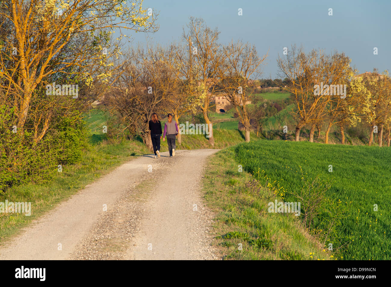 Zwei Frauen Joggen auf einer Landstraße in der Nähe von Siena in der Toskana, Italien Stockfoto