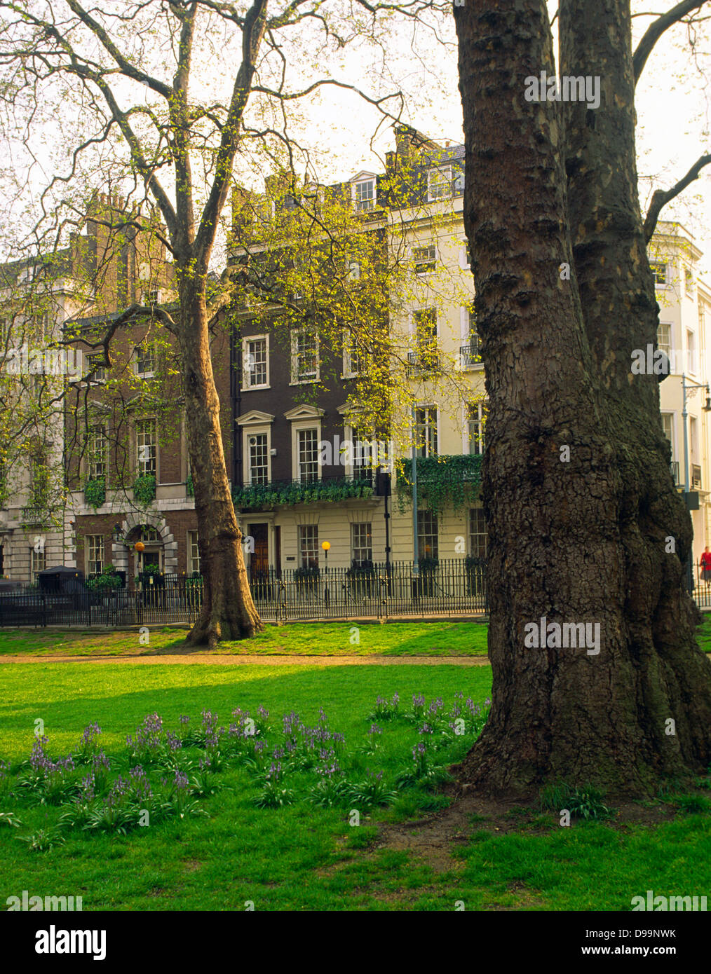 Berkeley Square in central London Mayfair Stockfoto