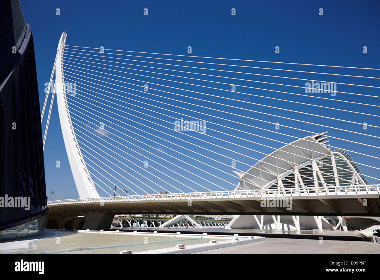 Assut de l ' oder Brücke zur Stadt der Künste und Wissenschaften Ciutat de Les Arts Les Effizienzgewinne Valencia, Spanien Stockfoto
