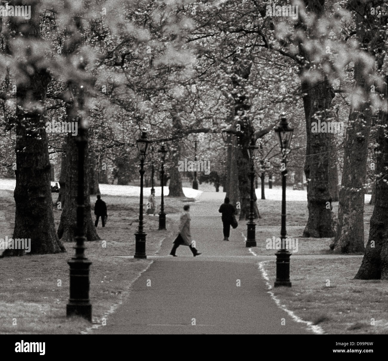 Passanten in Green Park im Zentrum von London Stockfoto