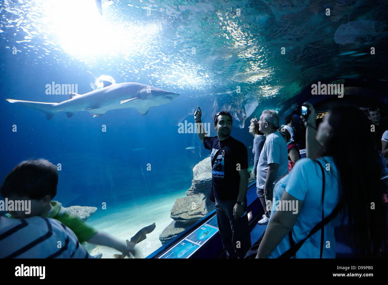 Touristen in der Hai-Aquarium l'oceanografic Stadt der Künste und Wissenschaften Ciutat de Les Arts ich Les Effizienzgewinne Valencia, Spanien Stockfoto