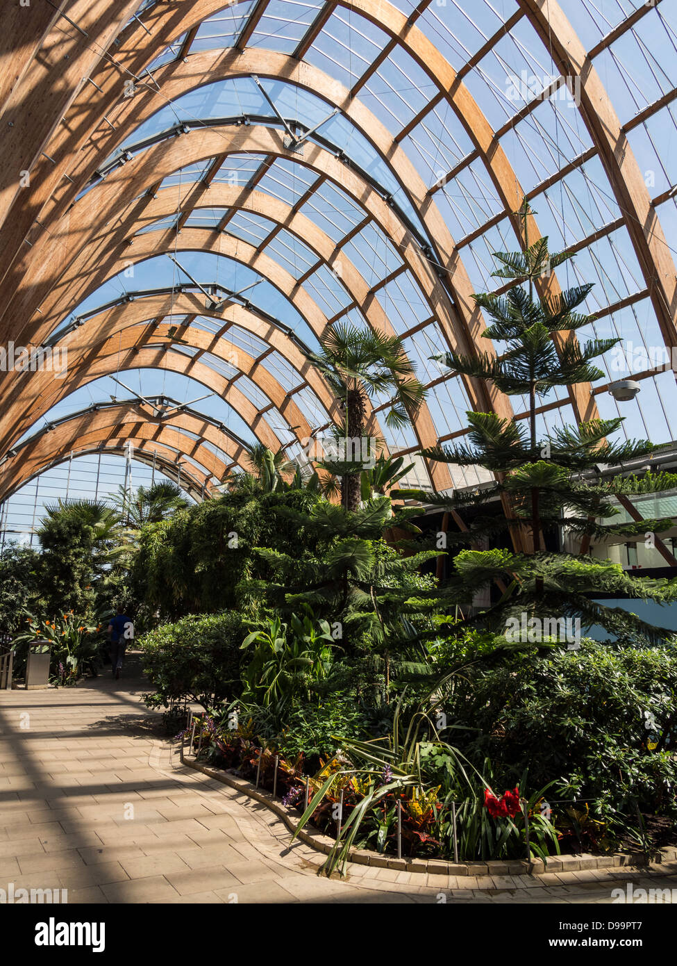 Sheffield Wintergarten 2003 die größte städtische Gewächshaus in Europa Stockfoto