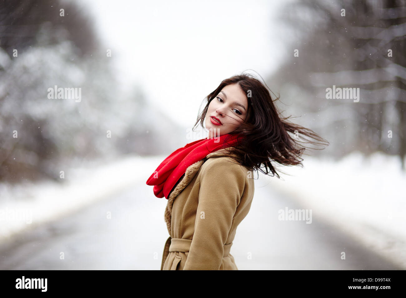 Porträt von eine schöne Brünette mit Haar vom Wind im winter Stockfoto